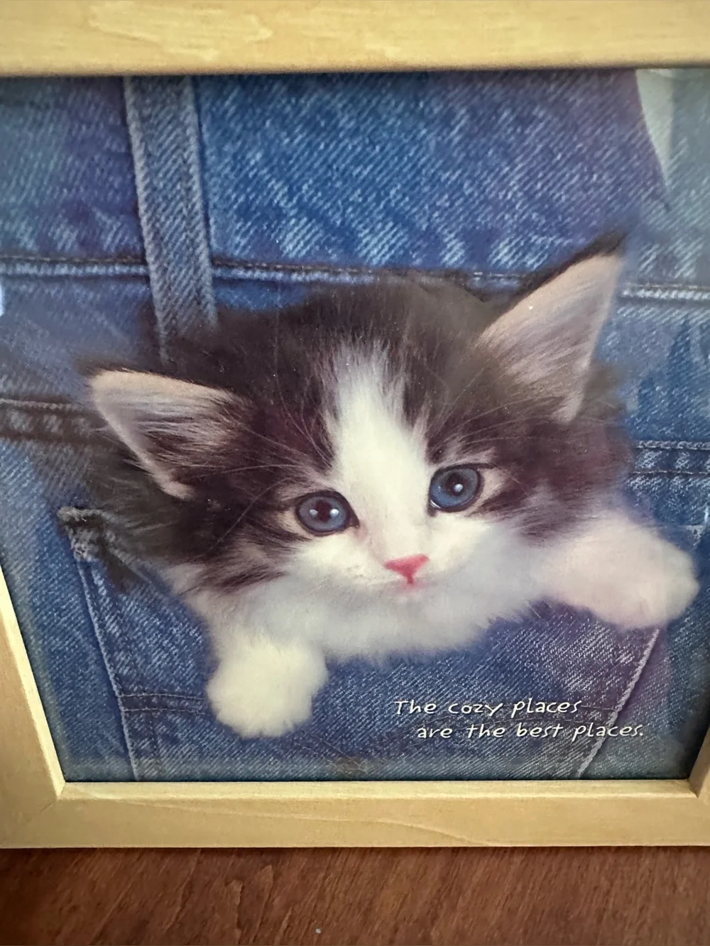 Portal Set of 3 Framed Kitten Prints Cozy Places Friendship Purrfect Fit